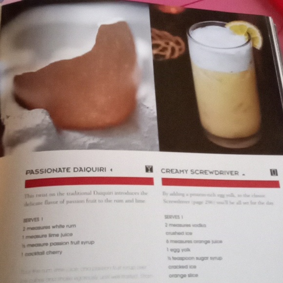 The Bartender's Guide- Paragon Books Ltd. 2008 - Picture 14 of 17